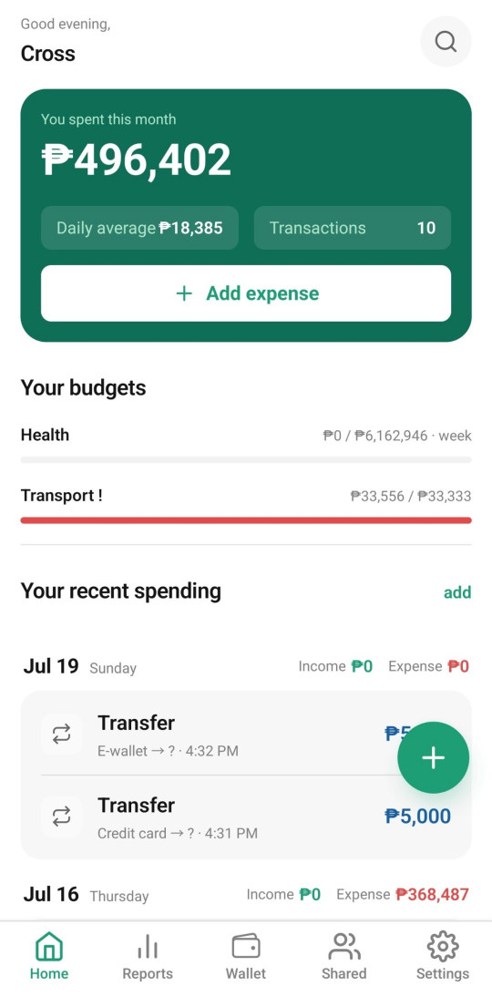 The Nexo home screen showing this month's total spending, budget progress bars and recent transactions.
